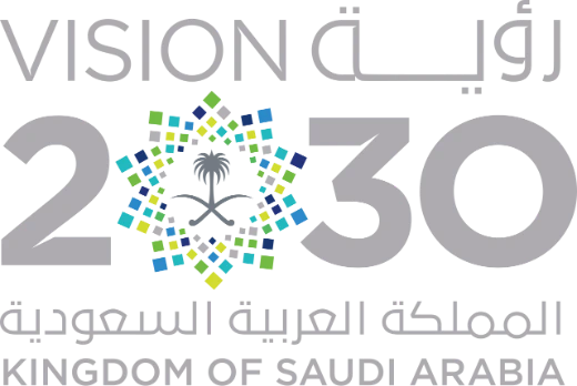 رؤية المملكة 2030